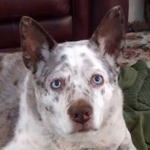 Meet your Posher, Gladys